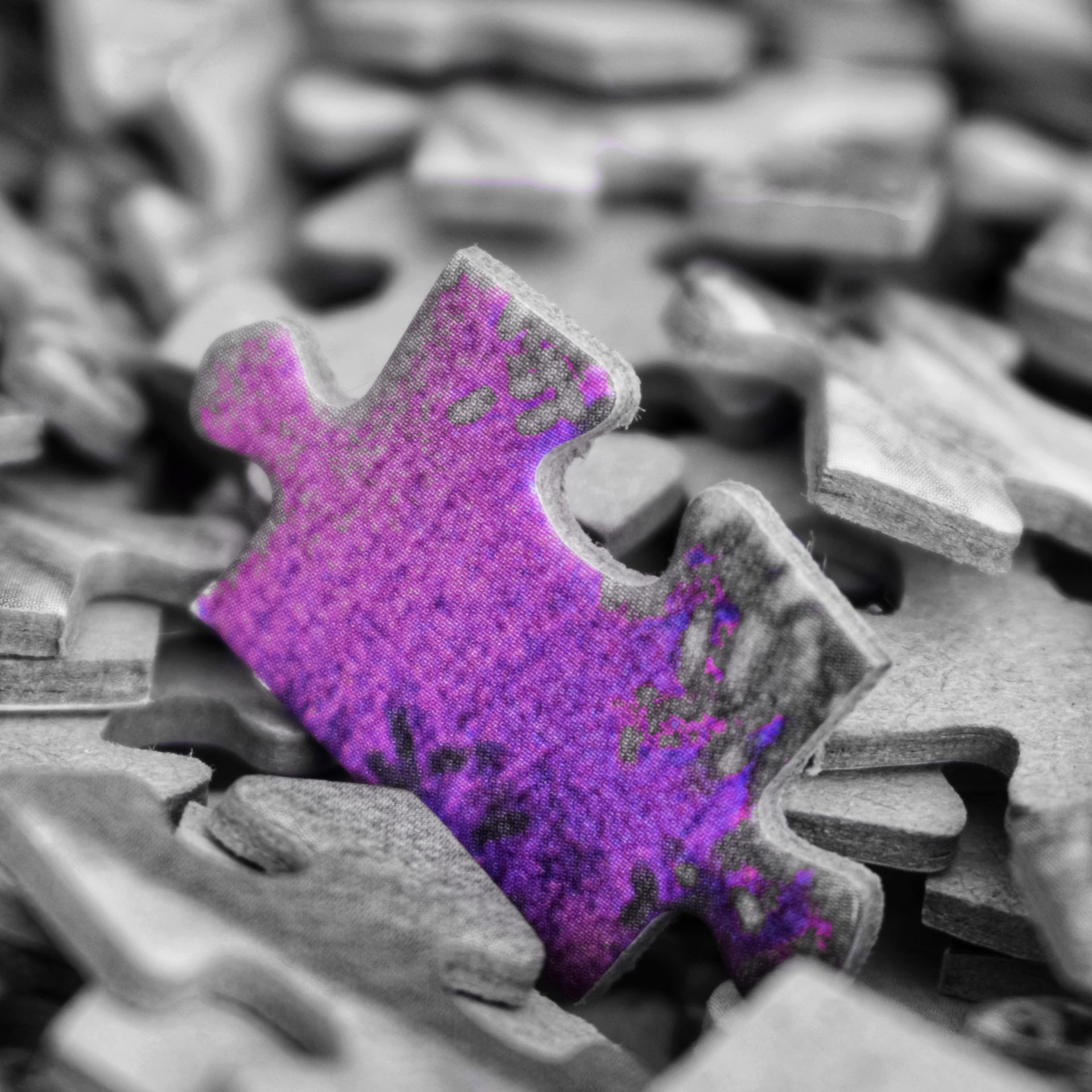 Purple puzzle piece with gray puzzle pieces